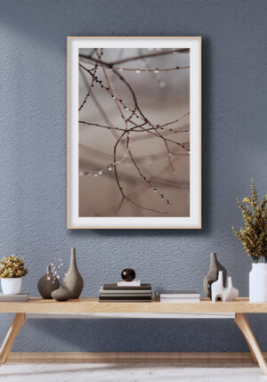 Gotas de Lluvia sobre Ramas Delicadas