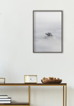 Árbol Solitario en Niebla Densa