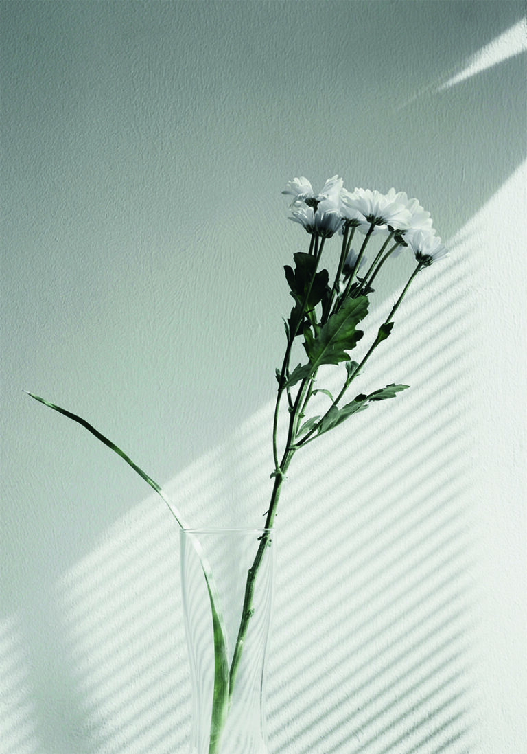 Florero Floral Elegante con Luz Suave