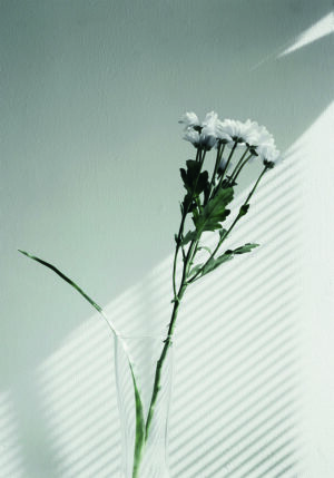 Florero Floral Elegante con Luz Suave