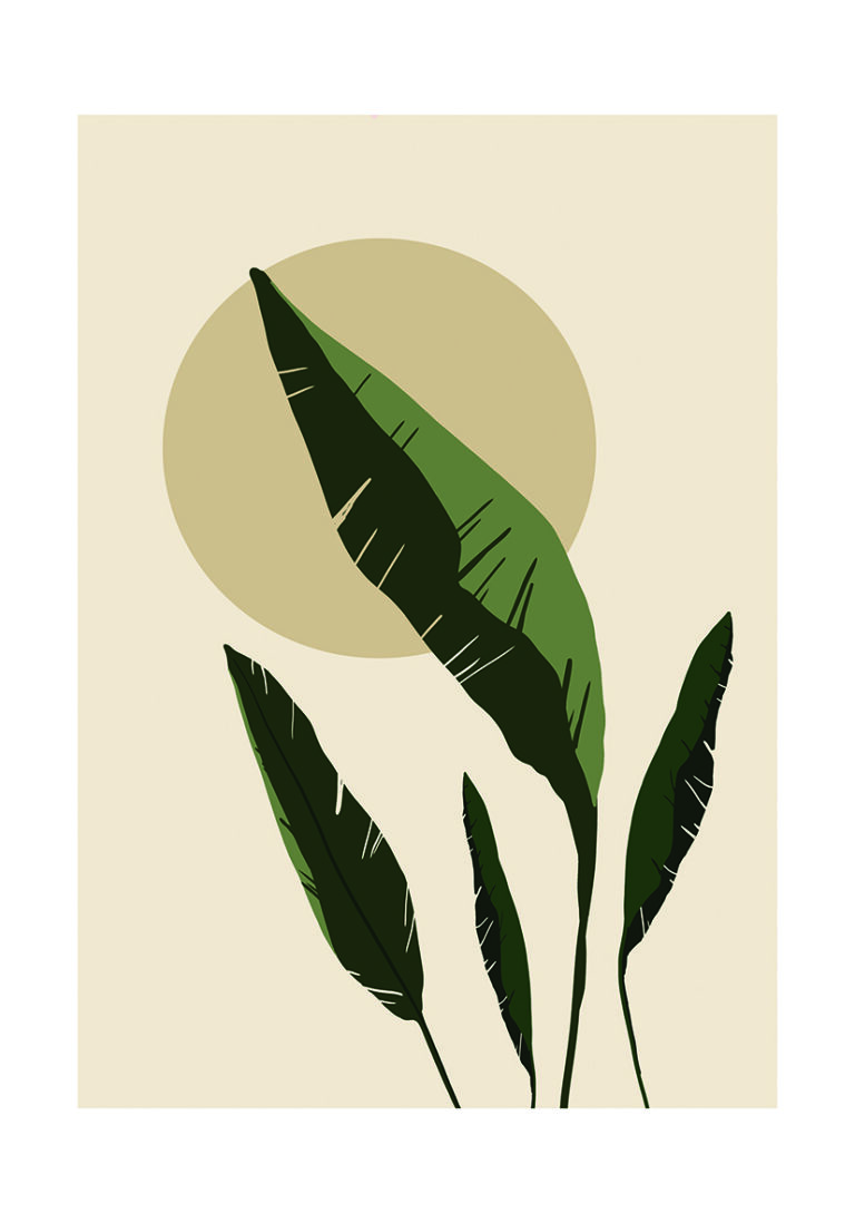 Ilustración Tropical Abstracta Minimalista
