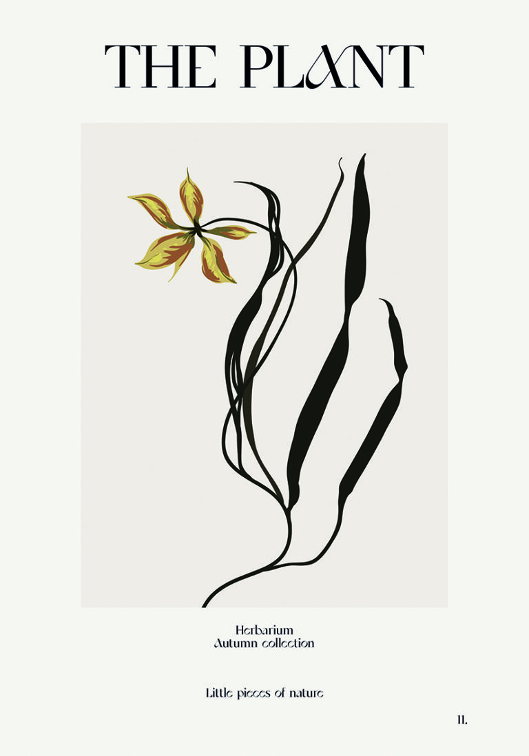 Ilustración Floral Minimalista