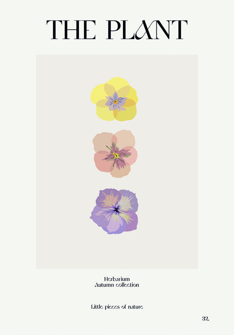 Ilustración Floral en Pasteles Minimalistas