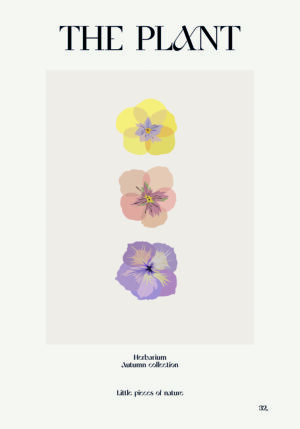 Ilustración Floral en Pasteles Minimalistas