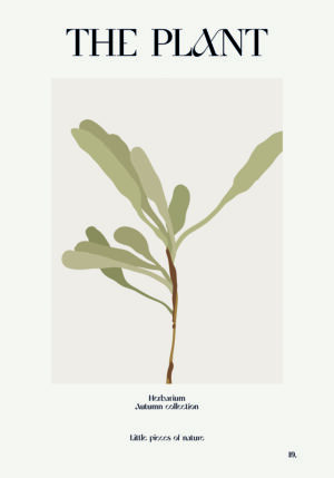 Diseño Ilustrado de Planta Minimalista