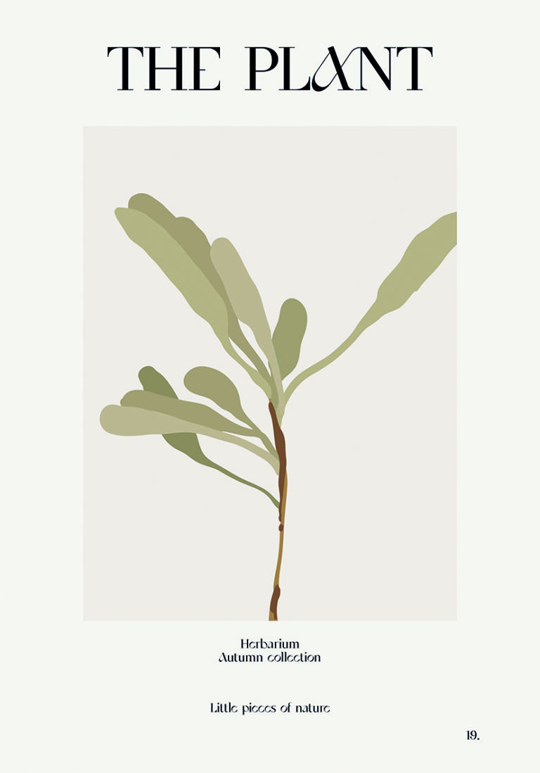 Diseño Ilustrado de Planta Minimalista