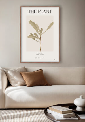 Diseño Ilustrado de Planta Minimalista