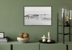 Árboles Tranquilos Envueltos en Niebla Matinal