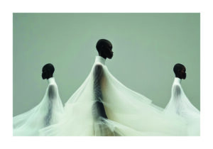 Figuras Abstractas en Movimiento Elegante