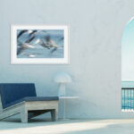 Gaviotas Borrosas Volando sobre el Agua