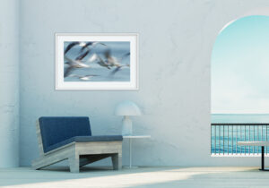 Gaviotas Borrosas Volando sobre el Agua