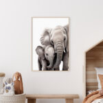 Amor y Vínculo Familiar de Elefantes