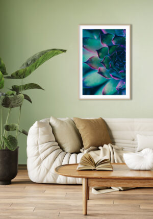 Vista Macro de Suculenta en Tonos Vibrantes