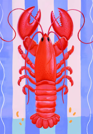 Ilustración gráfica de langosta roja