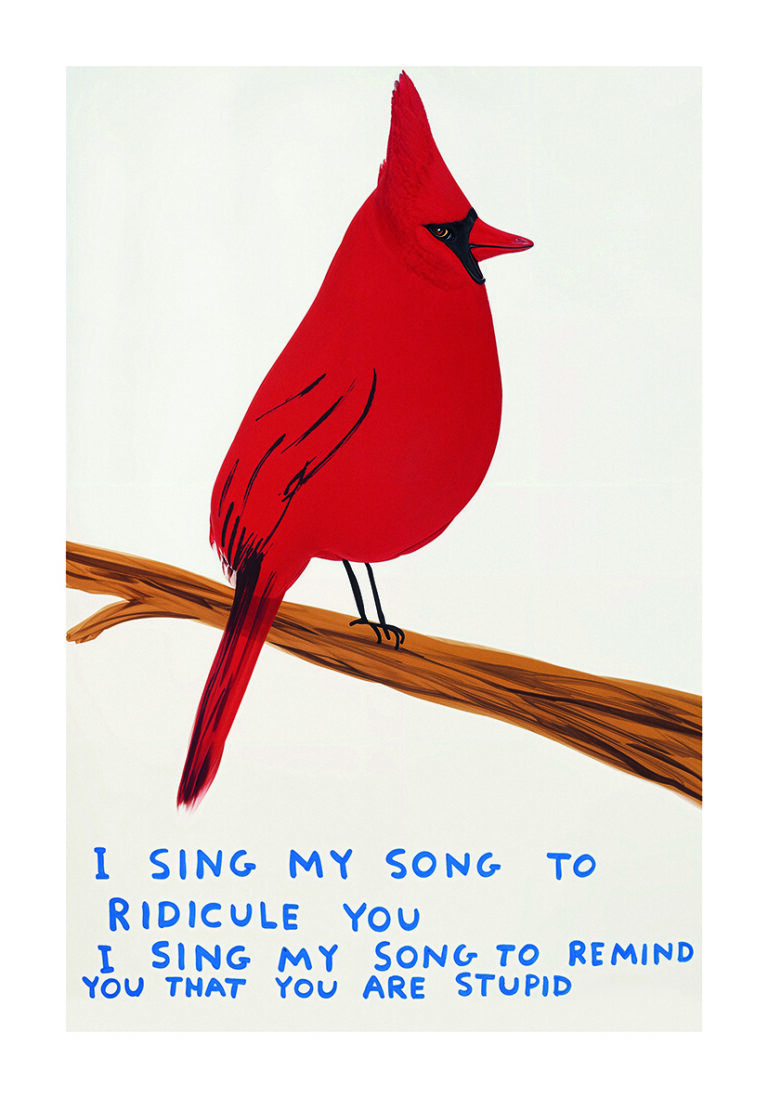 Cardenal rojo en ilustración cómica