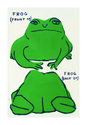 Rana ilustrada en vistas frontal y trasera