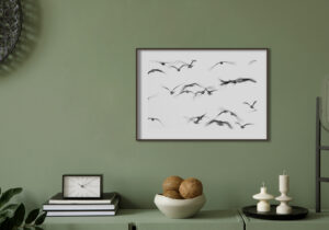 Siluetas de Gaviotas en Vuelo Grácil