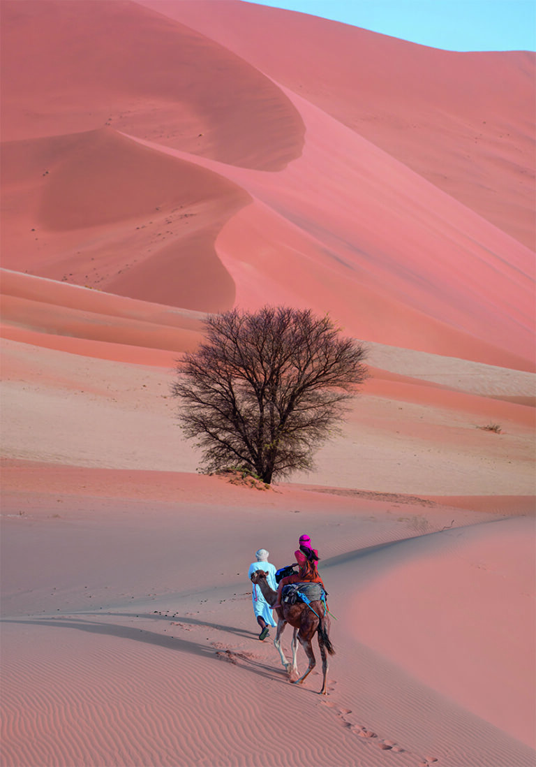 Caravana de Camellos en Paisaje Desértico