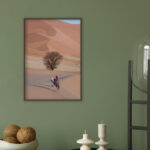 Caravana de Camellos en Paisaje Desértico