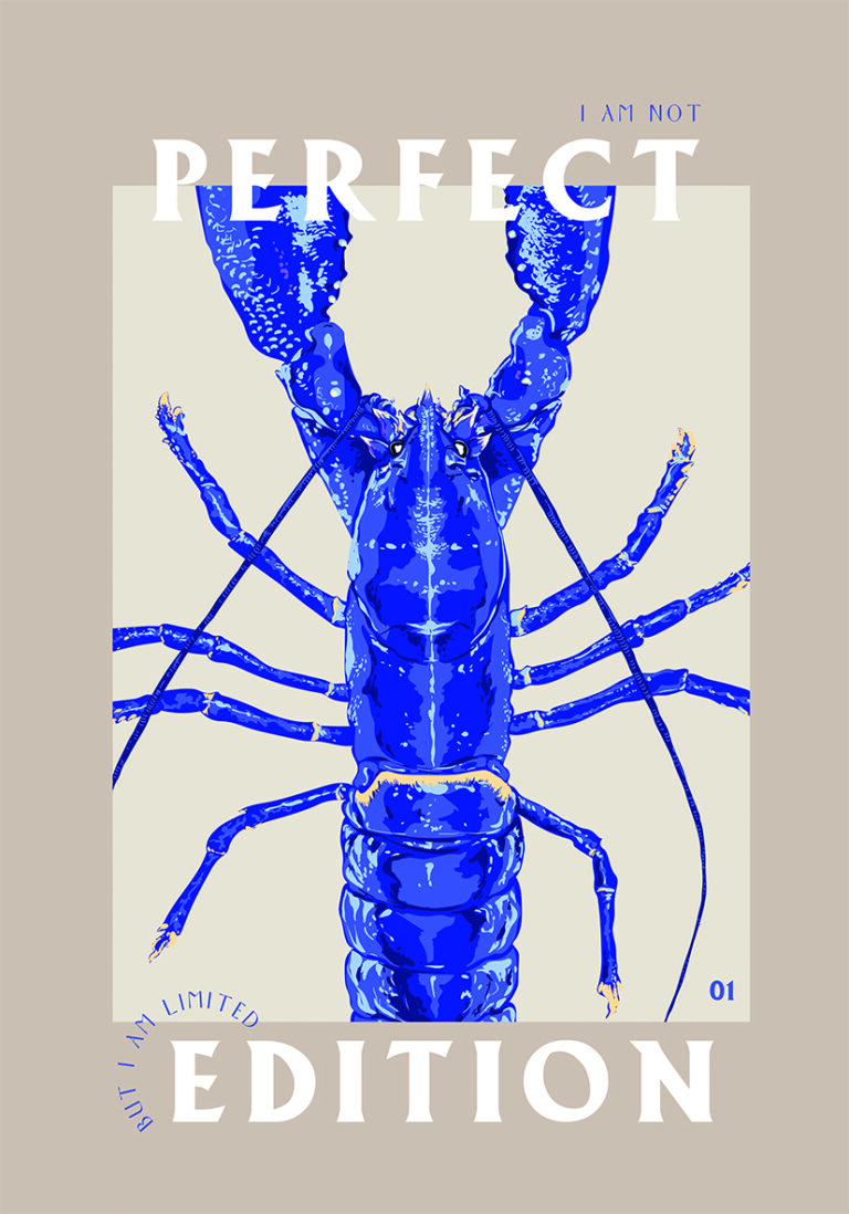 Ilustración Estilizada de Langosta Azul