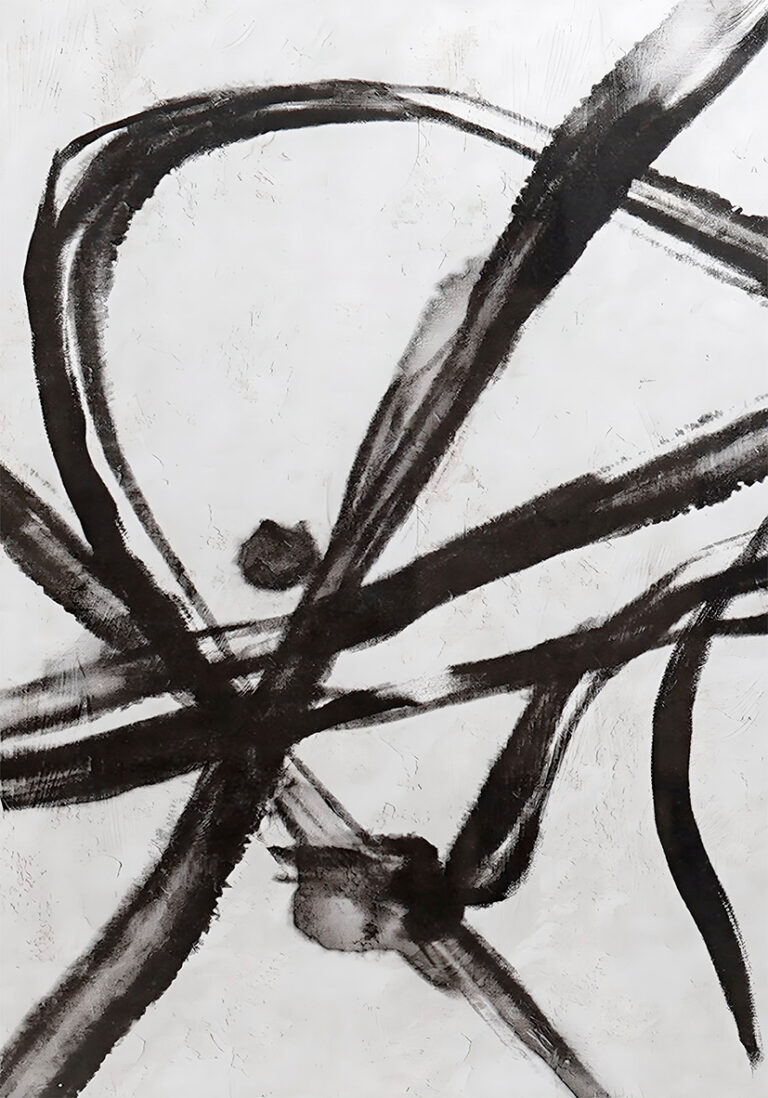 Tinta Negra Abstracta sobre Lienzo Blanco