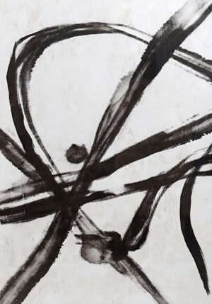 Tinta Negra Abstracta sobre Lienzo Blanco