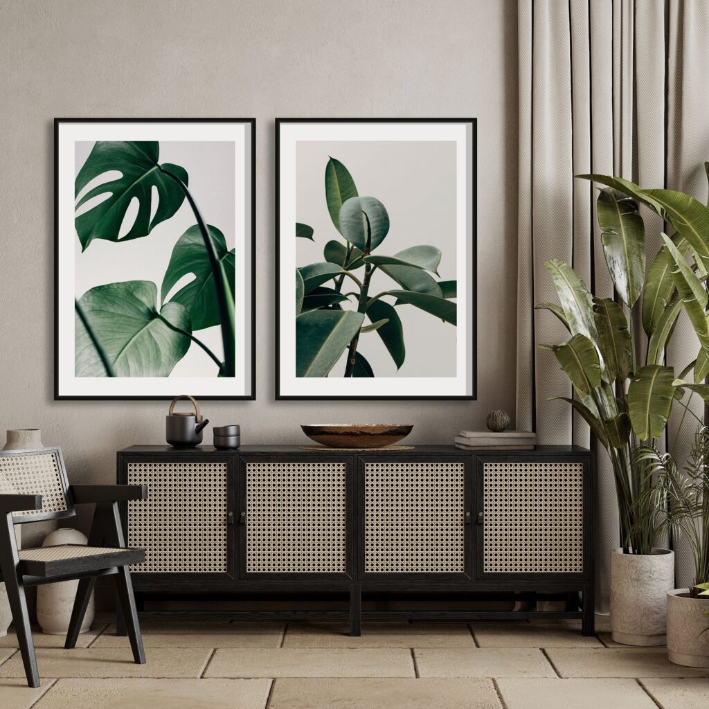 COMPOSICIÓN MONSTERA