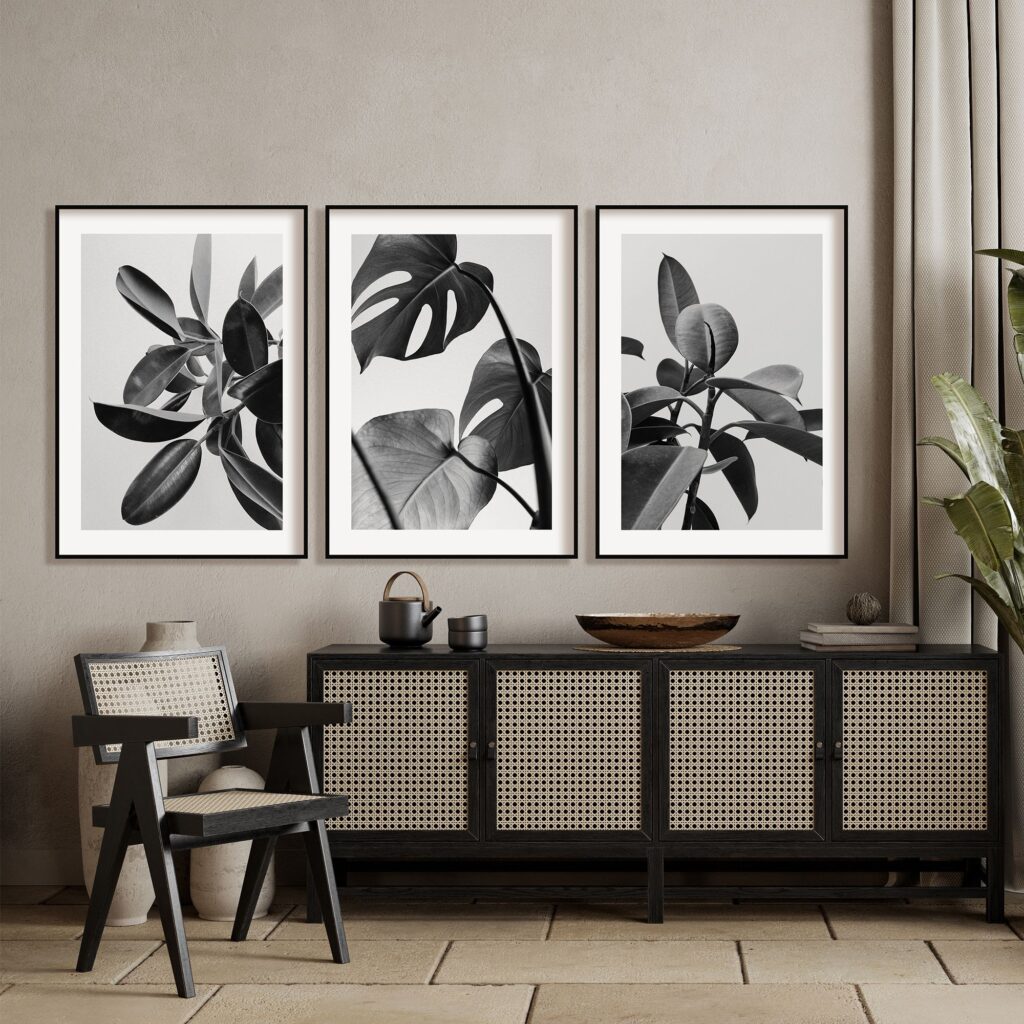 COMPOSICIÓN BLACK MONSTERA