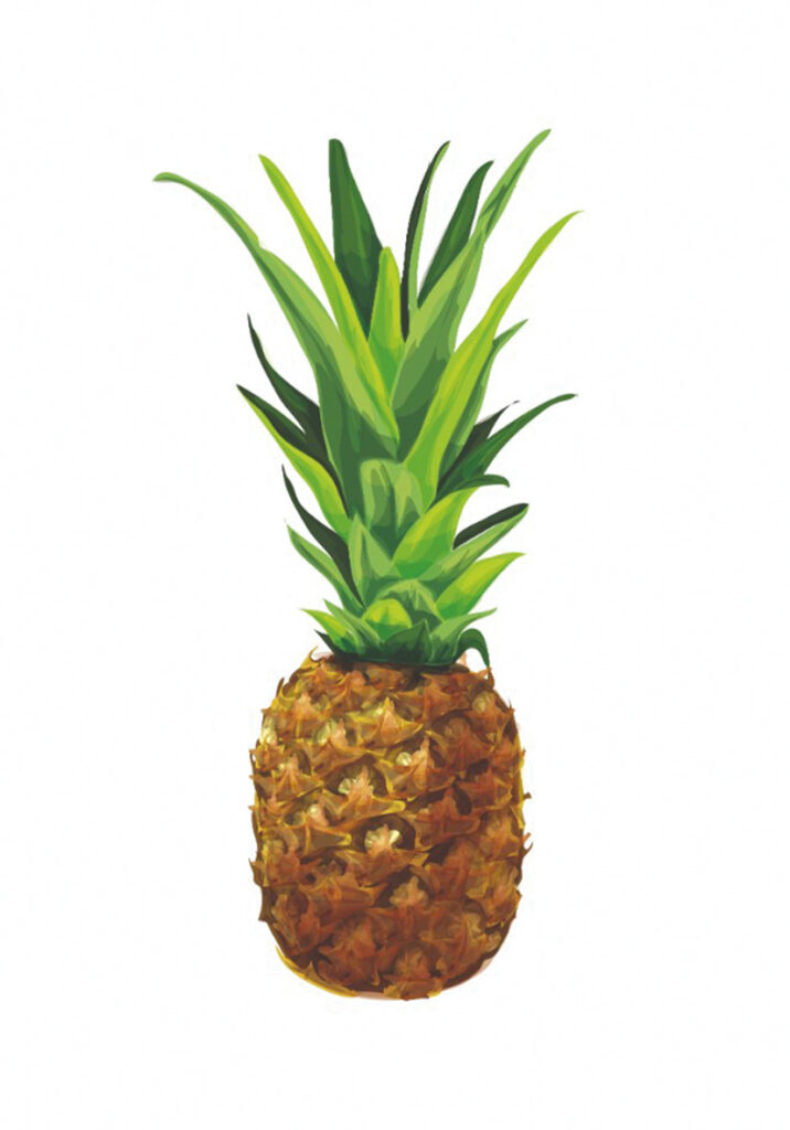 PIÑA