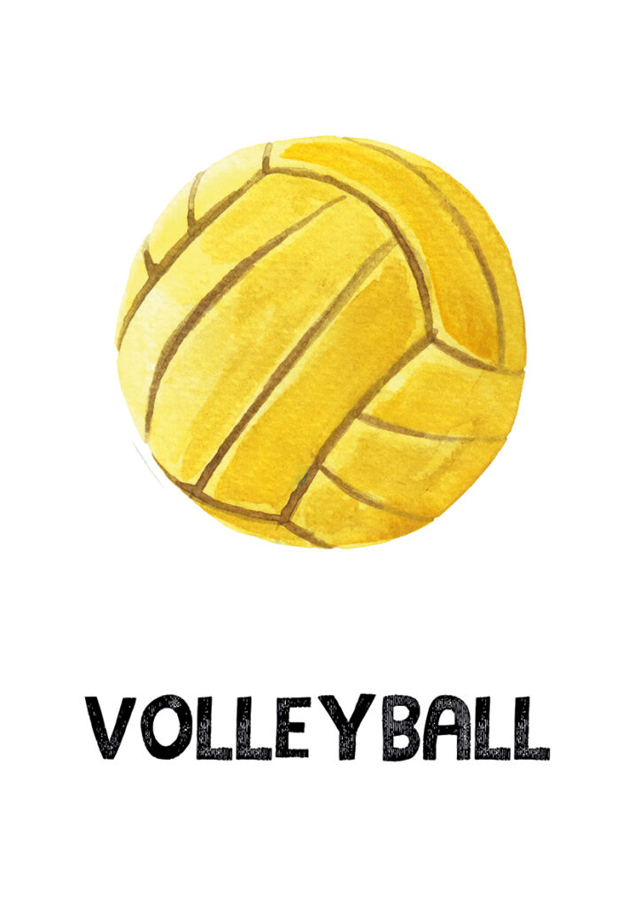 VOLEY
